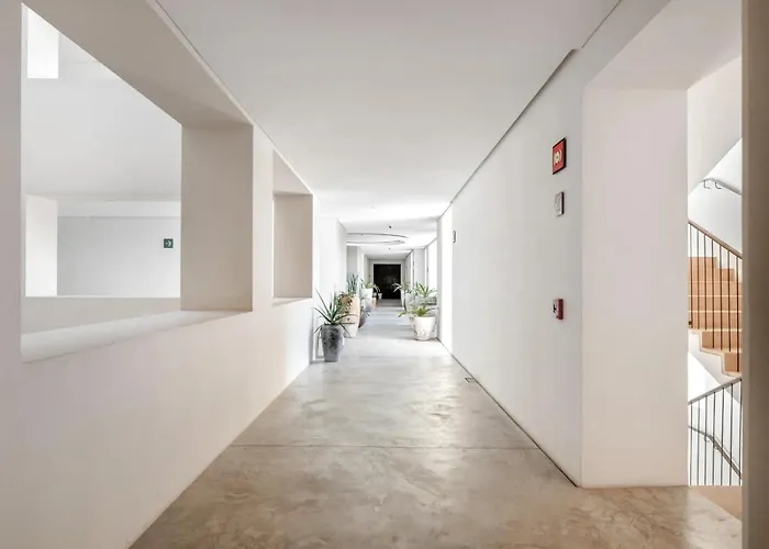 Medano Cabo 3 Bedroom Steps To Marina *